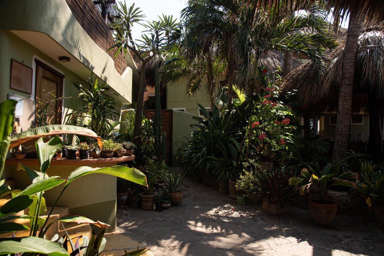 Posada Y Pizzeria La Termita San Agustinillo Εξωτερικό φωτογραφία